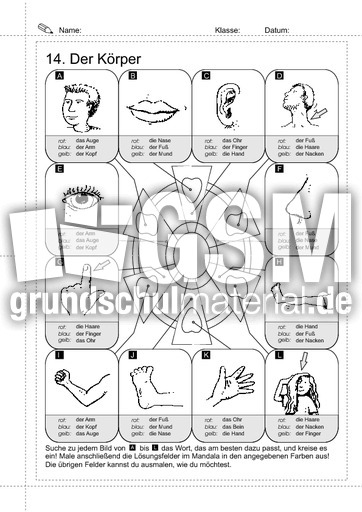 14 Wörter-lesen_der-Körper 2.pdf